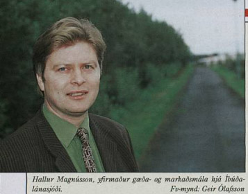 Hallur Magnsson